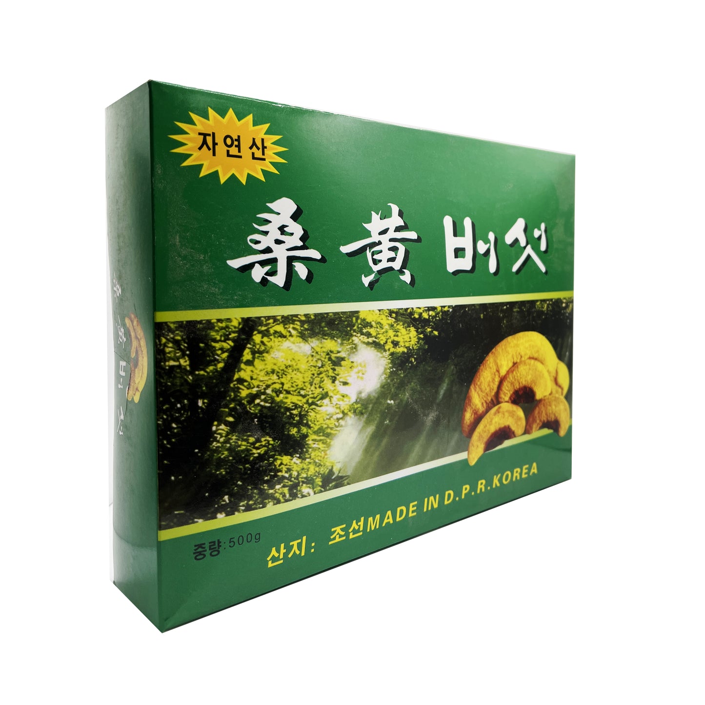 Phellinus Linteus Mushroom- 桑黄 (Sanhuang/Sanghwang)