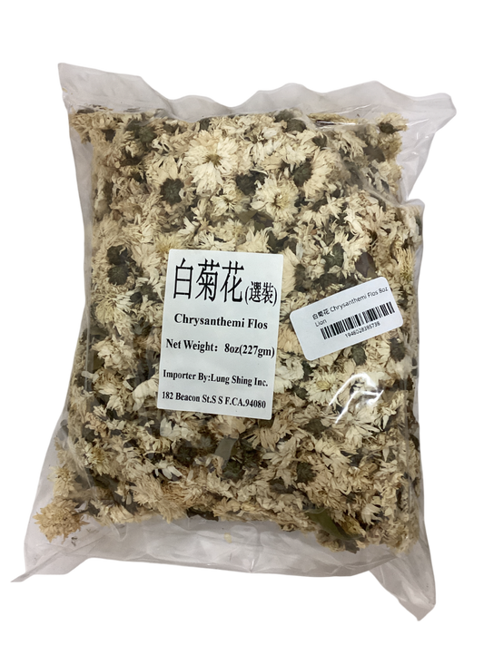 White Chrysanthemum Flower - 白菊花 (bai ju hua)