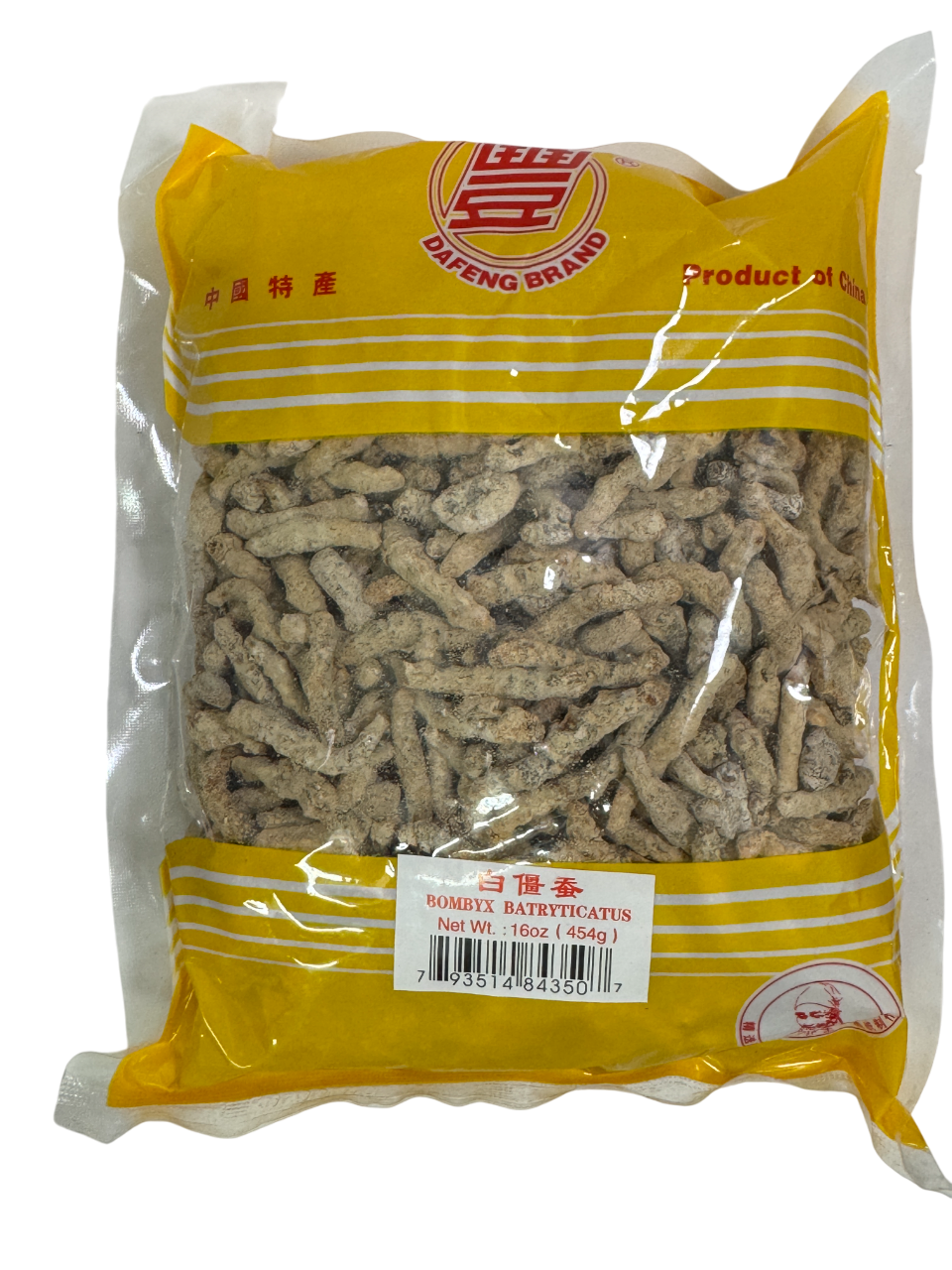 Bombyx Mori (Bombyx Batryticatus) - 僵虫/僵蚕 (Jiang Cong / Jiang Can)