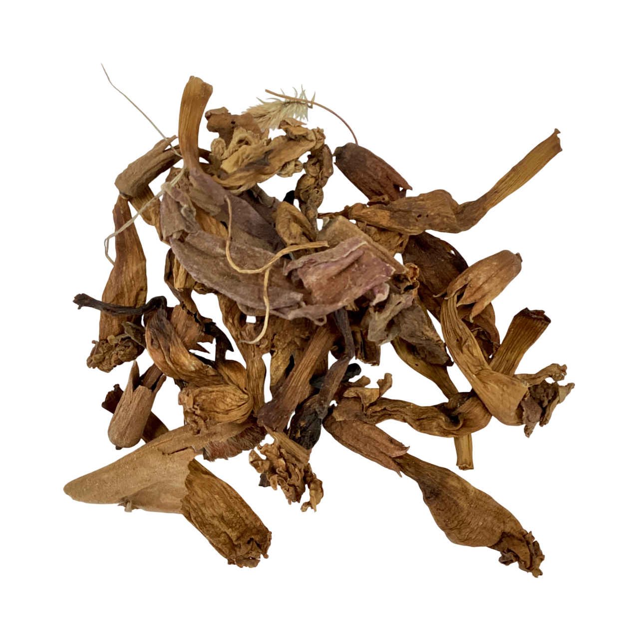 Campsis Flower (Flos Campsis) - 凌霄花 (líng xiāo huā)