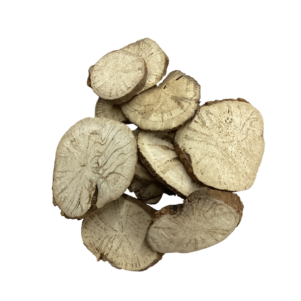Stephania Root (Radix Stephaniae Tetrandrae) - 防己 (Fang Ji)