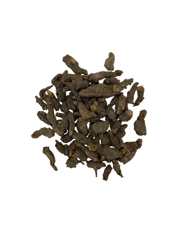 Semiaquilegia Root Tuber (Radix Semiaquilegiae) - 天葵子 (Tian Kui Zi)