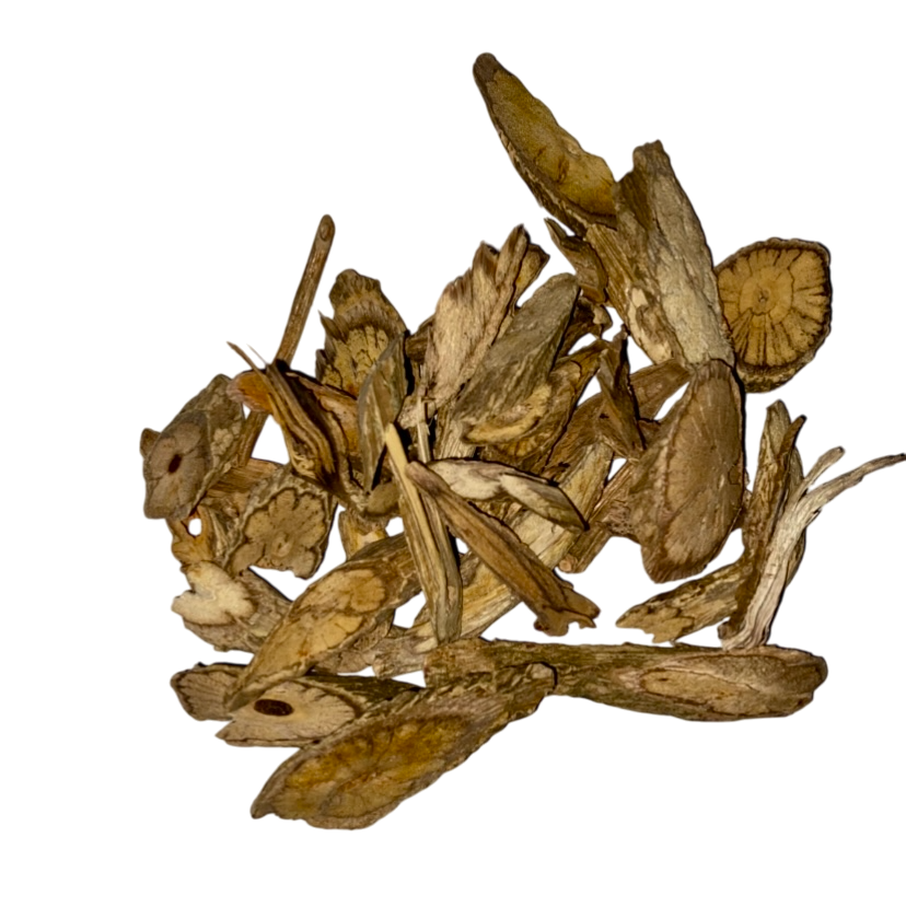 Eleutherococcus Root Bark (Cortex Eleuthrococcus Gracilistylus) - 五加皮 (Wu Jia Pi)