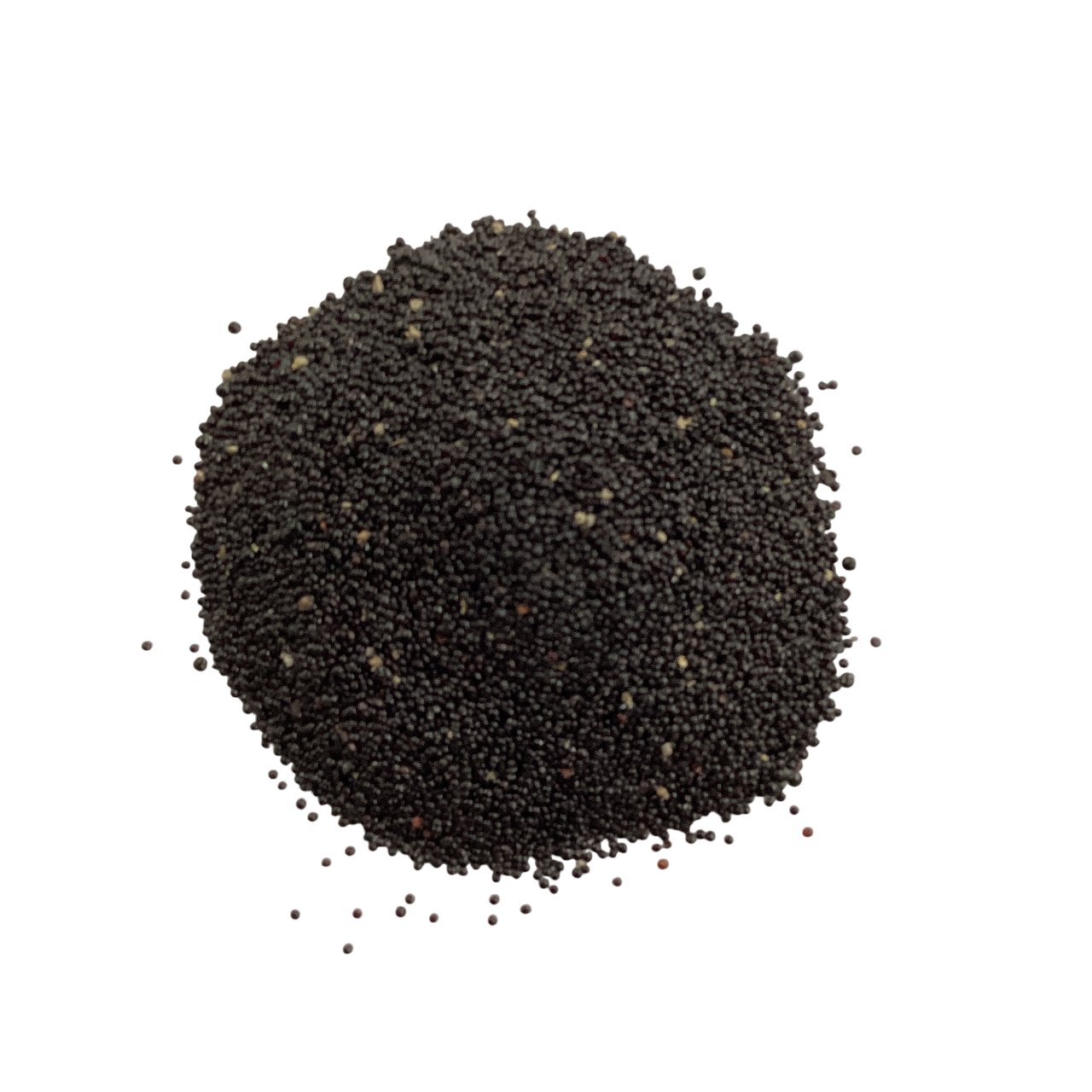 Celosia Seed (Semen Celosiae) - 青葙子 (Qing Xiang Zi)