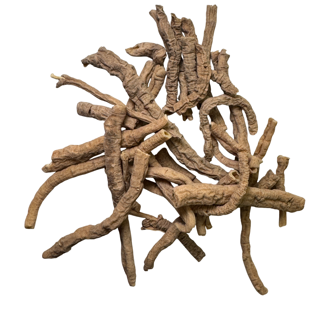 Polygala Root (Radix Praeparata Polygala) - 远志通 (yuǎn zhì tōng)