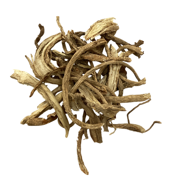 Peucedanum Root (Radix Peucedani) - 前胡 (qián hú)