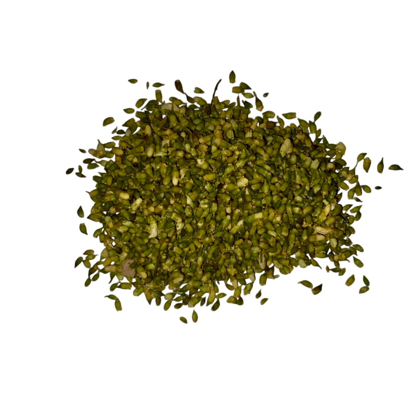 Sophora Bud (Flos Sophorae Immaturus) - 槐花 (huái huā)