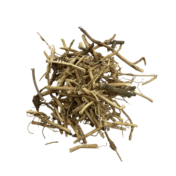 Cynanchum Root and Rhizome (Rhizoma Cynanchi Stauntonii) - 白前 (Bai Qian)