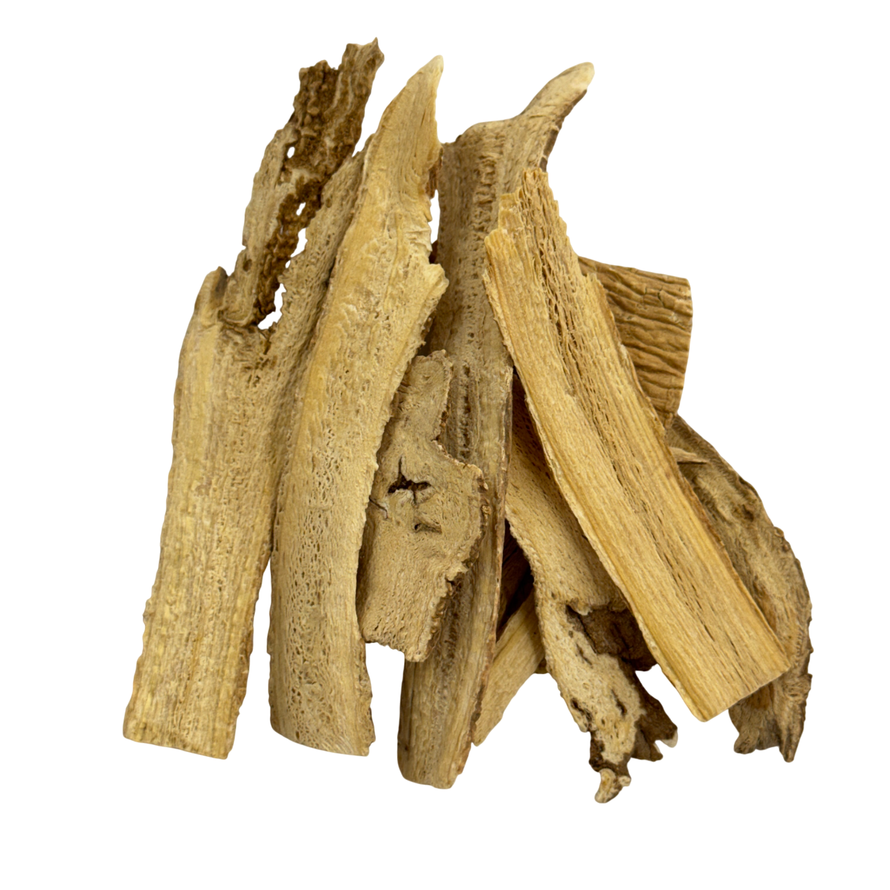 Stellaria Root (Radix Stellariae) - 银柴胡 (yín chái hú)