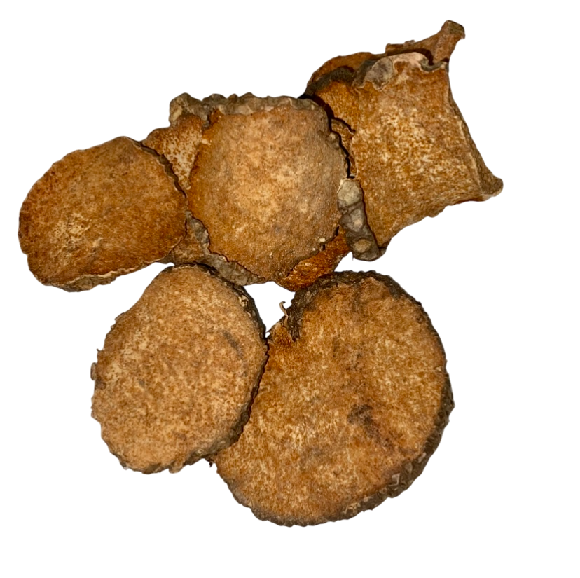 Dioscorea Bulbifera Tuber (Rhizoma Dioscoreae Bulbiferae) - 黄药子 (Huang Yao Zi)