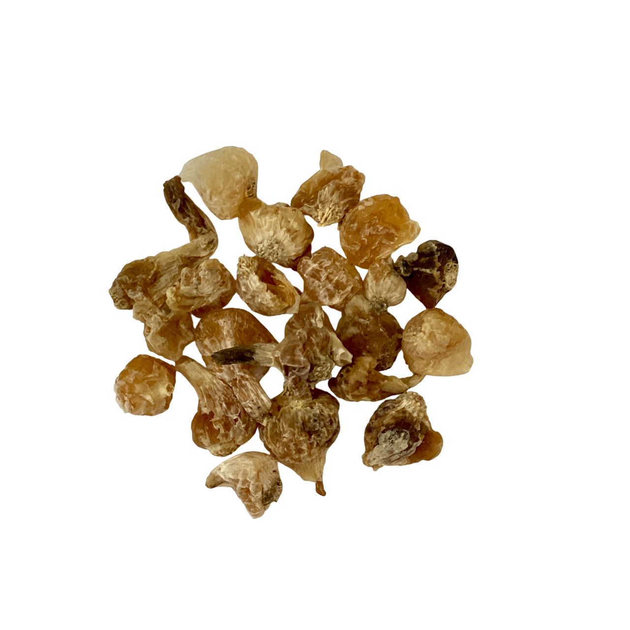 Macrostem Onion (Bulbus Allii Macrostemi) - 薤白(Xie Bai)