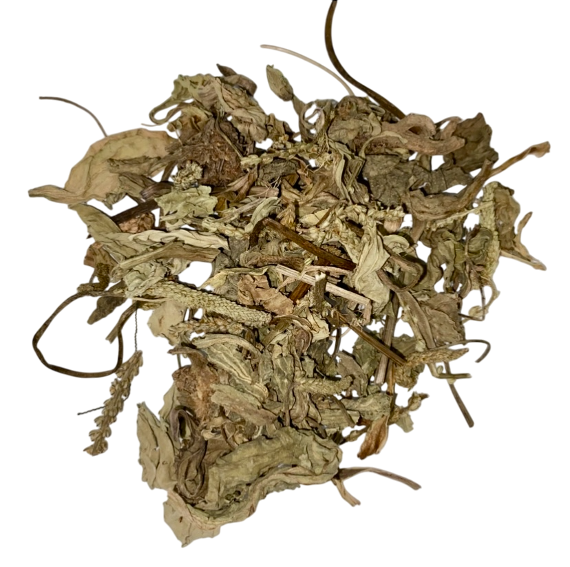 Plantago Herb (Herba Plantaginis) - 车前草 (chē qián cǎo)