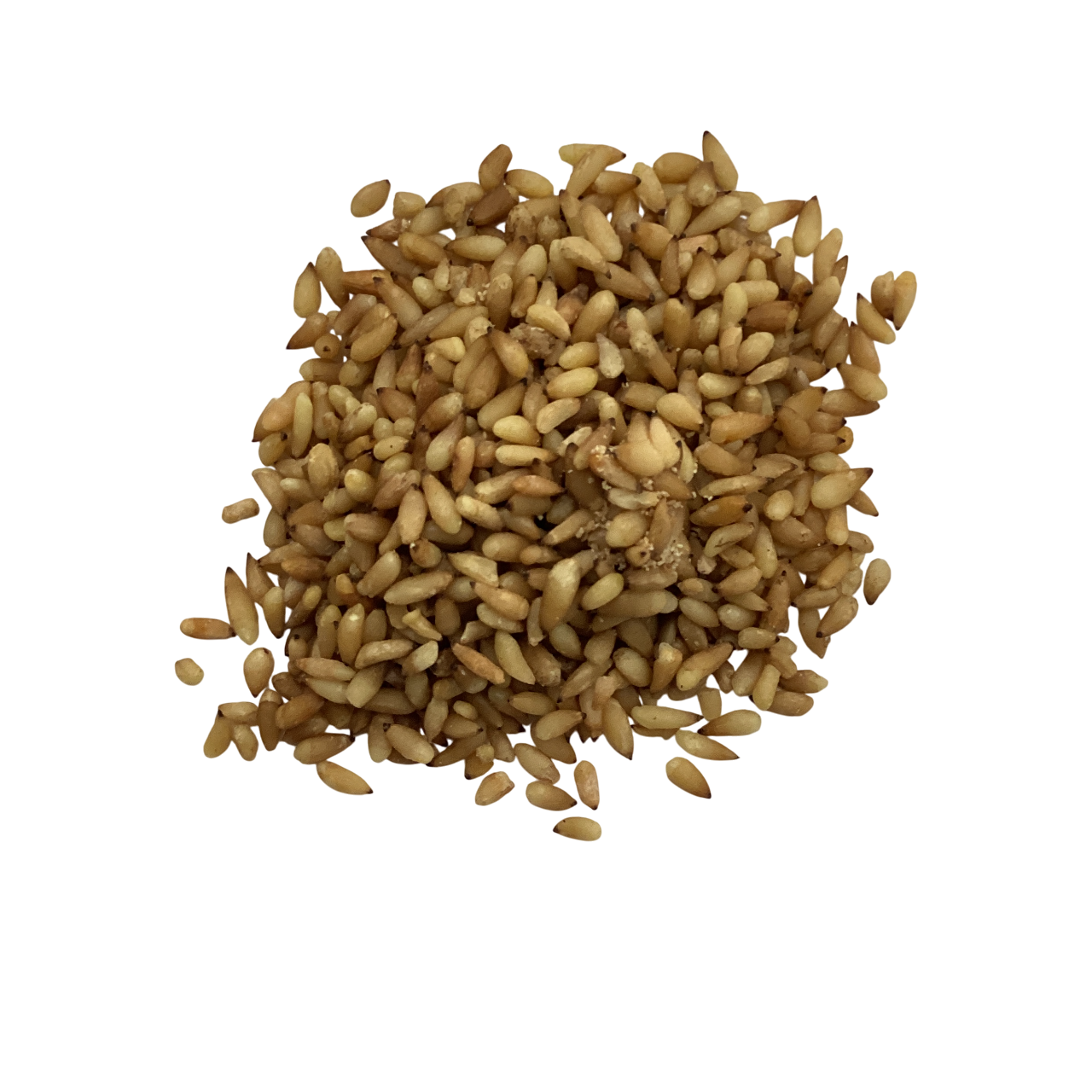 Semen Platycladi (Bai Zi Ren) - 柏子仁 16oz