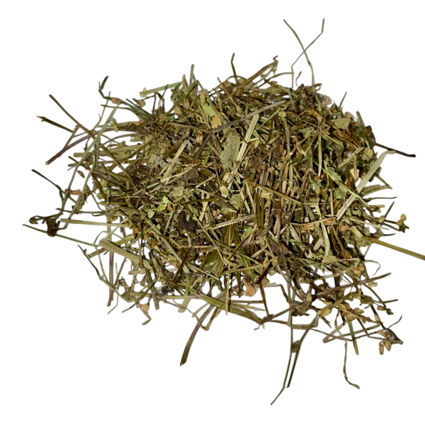 Barbed Skullcap (Herba Scutellaria Barbata) - 半枝莲 (bàn zhī lián)