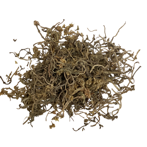 Hanging Stonecrop (Herba Sedi Sarmentosi) - 垂盆草 (chuí pén cǎo)