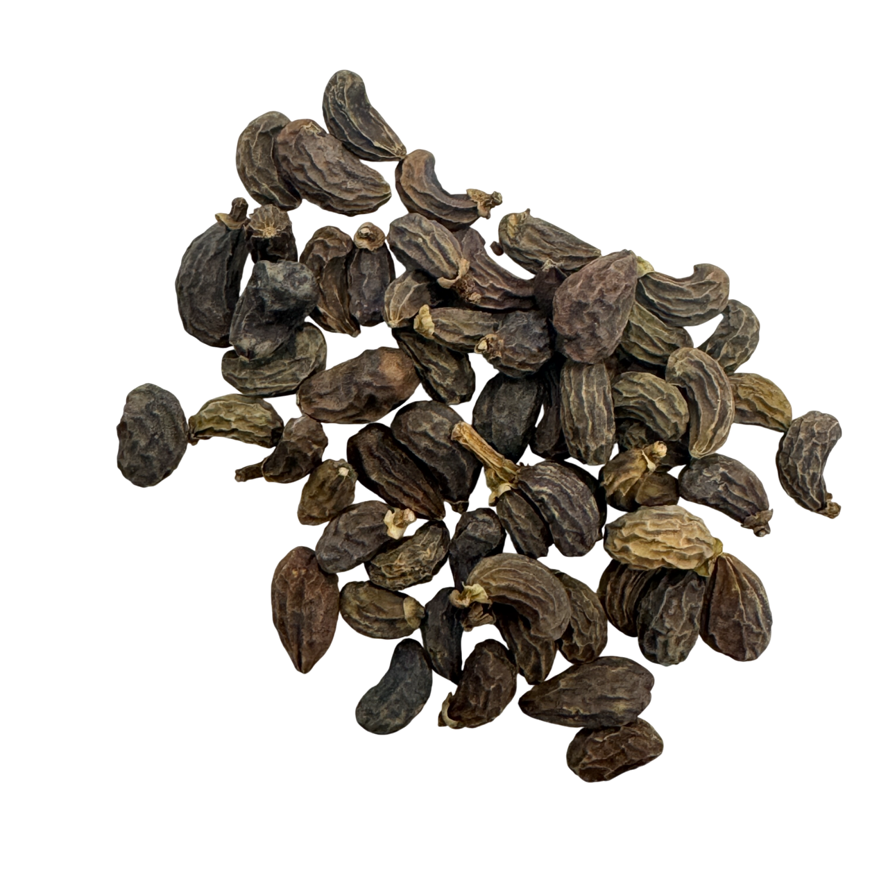 Glossy Privet Fruit (Fructus Ligustrum Lucidum) - 女贞子 (nǚ zhēn zi)