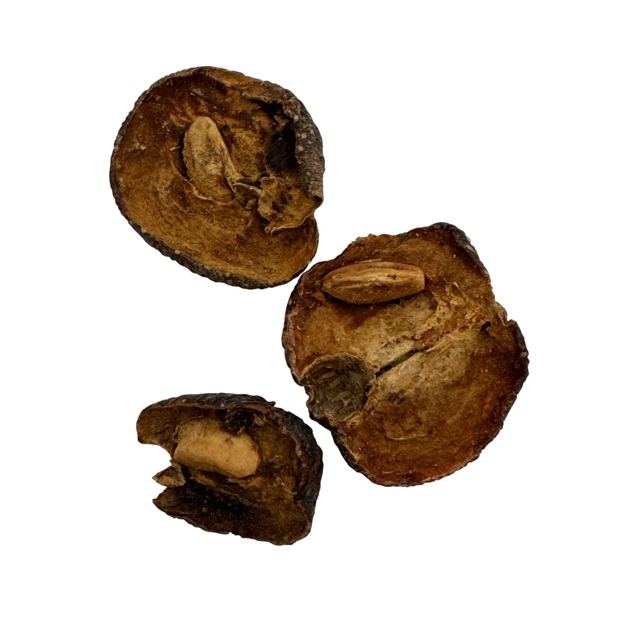 Hawthorne Berry (Fructus Crataegi) - 山楂 (shān zhā)