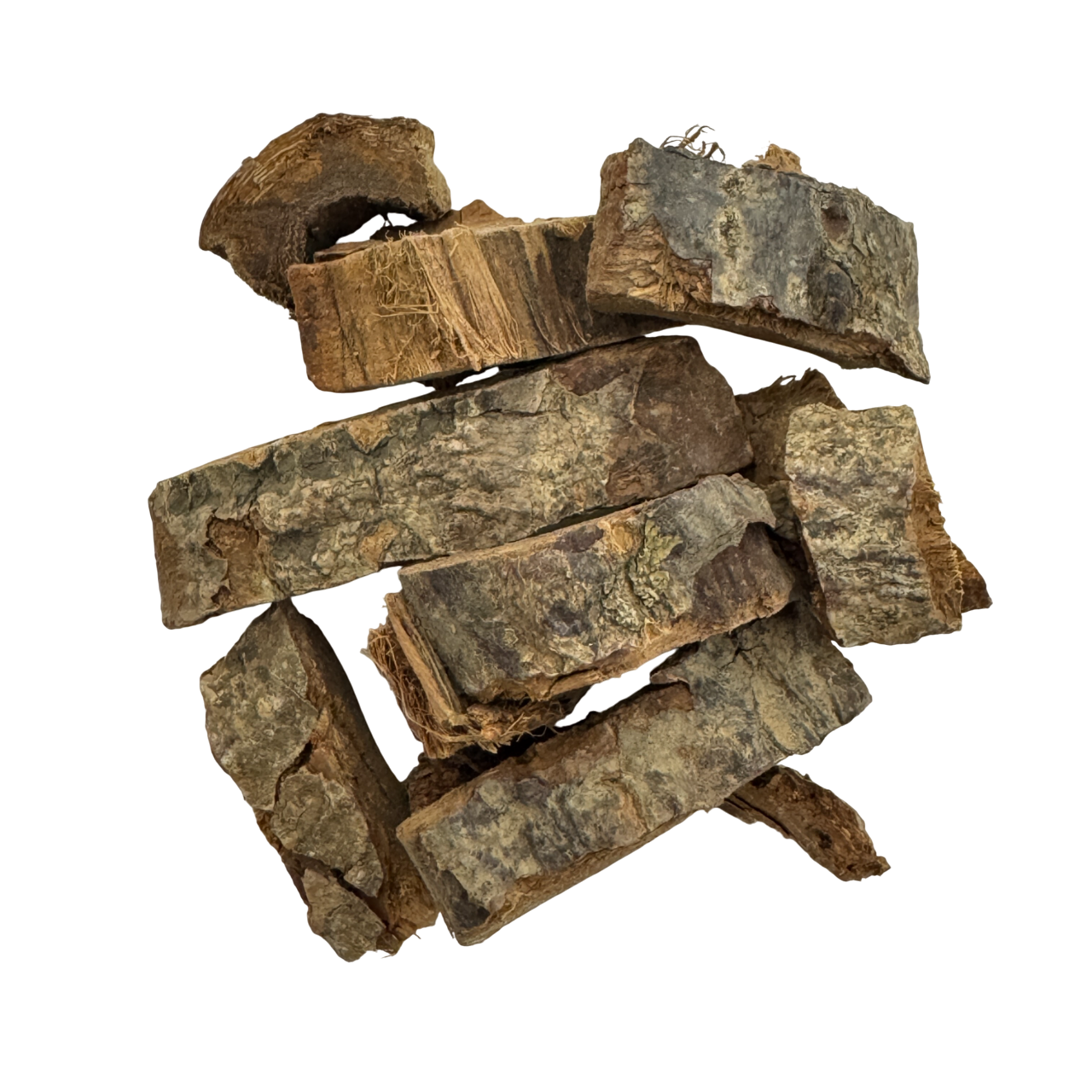 Himalayan Coral Bean Bark (Cortex Erythrinae) - 海桐皮 (hǎi tóng pí)