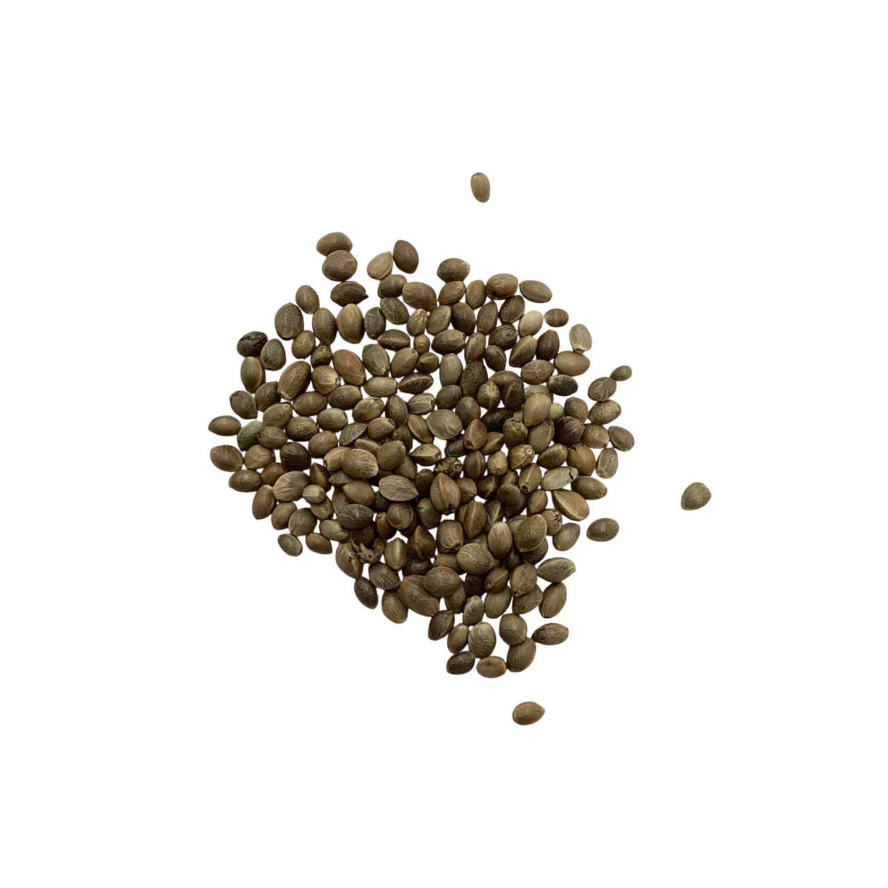 Roasted Hemp Seeds (Roasted Fructus Cannabis) - 炒火麻仁 (chǎo huǒ má rén)