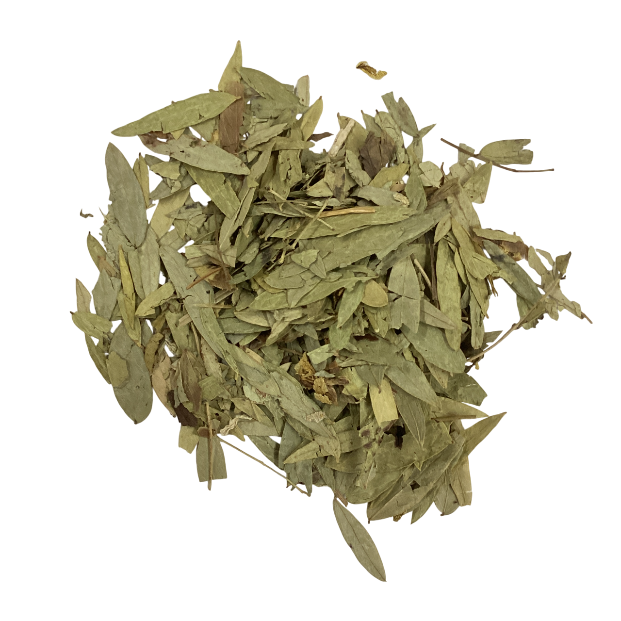 Senna Leaves (Folium Sennae) - 番泻叶 (fān xiè yè) – KHT Herbs & Goods