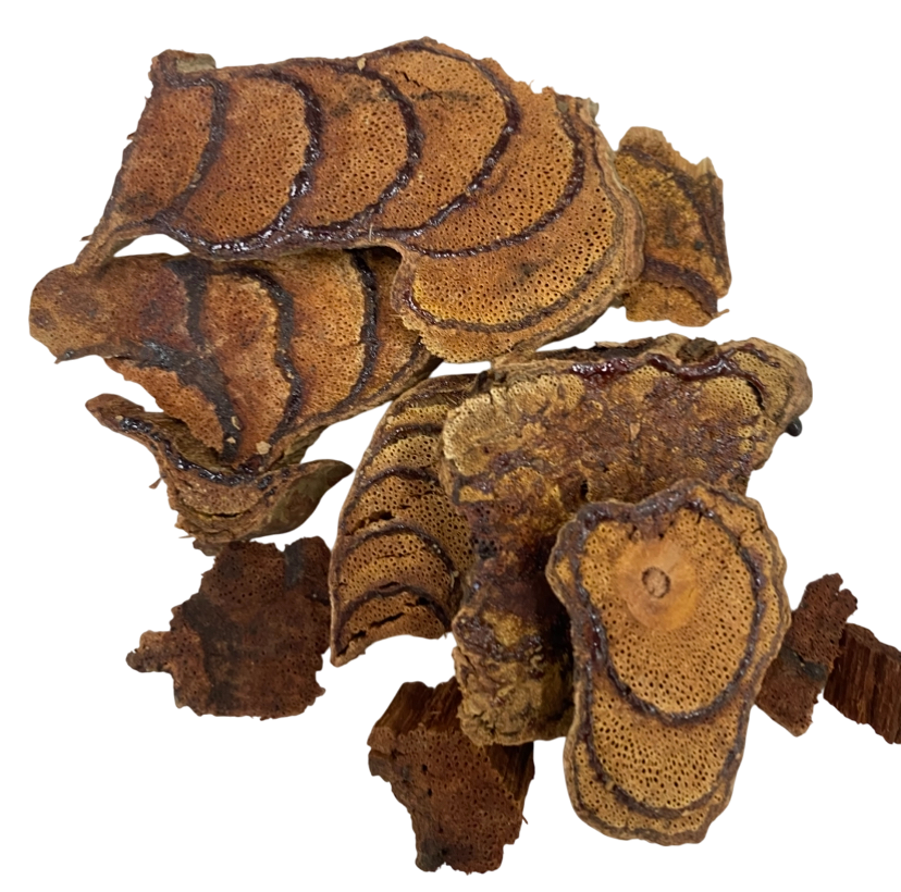 Spatholobus (Caulis Spatholobi) - 鸡血藤 (jī xuè téng)