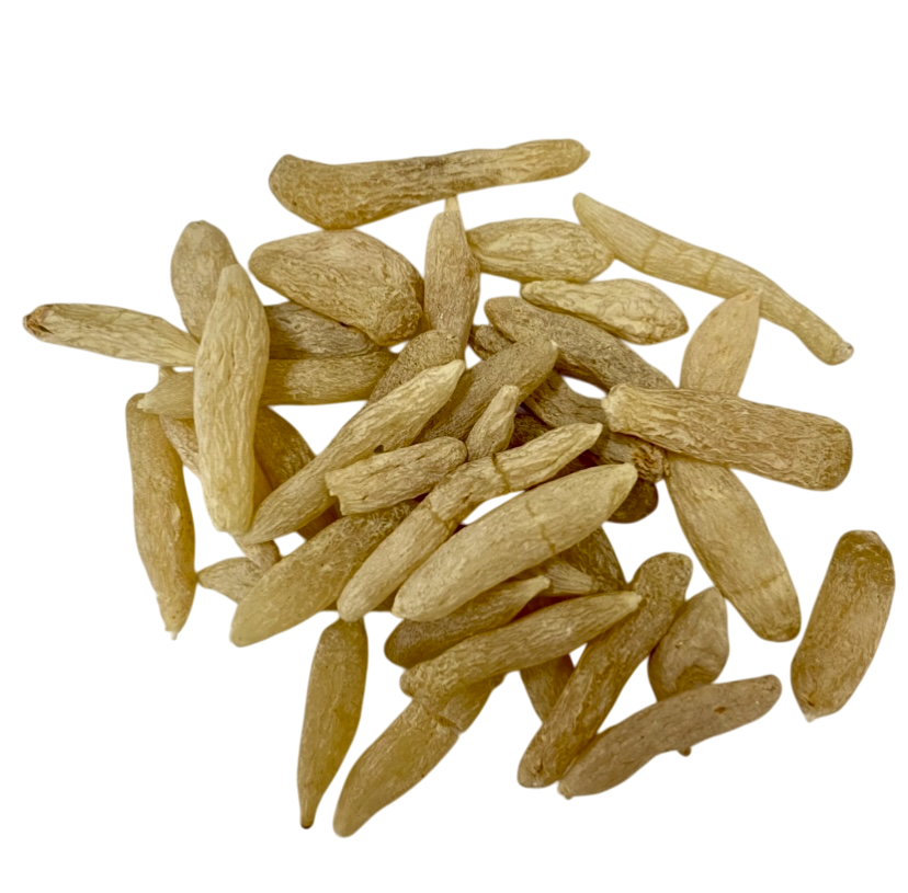 Ophiopogon (Radix Ophiopogonis) - 麦冬 (mài dōng)