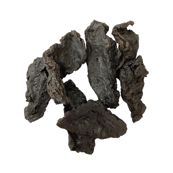 Raw/Cooked Rehmannia Root (Radix Rehmanniae) - 生地 (shēng dì)/ 熟地 (shú dì)