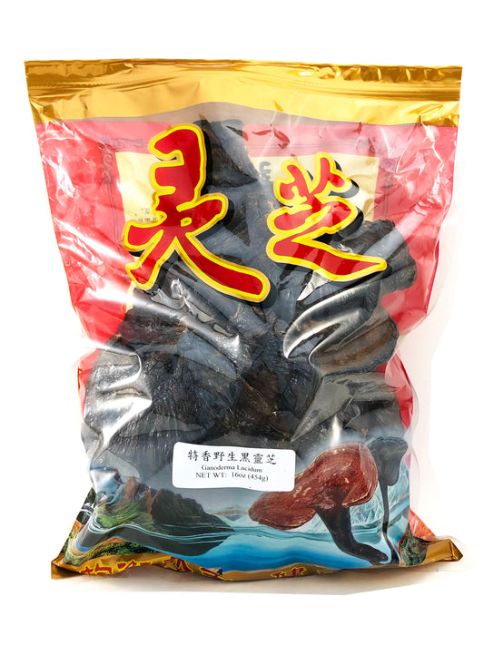 Reishi (Ganoderma Lucidum) - 灵芝 (líng zhī)