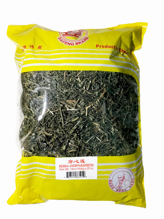 Andrographis (Herba Andrographis) - 穿心莲 (chuān xīn lián)