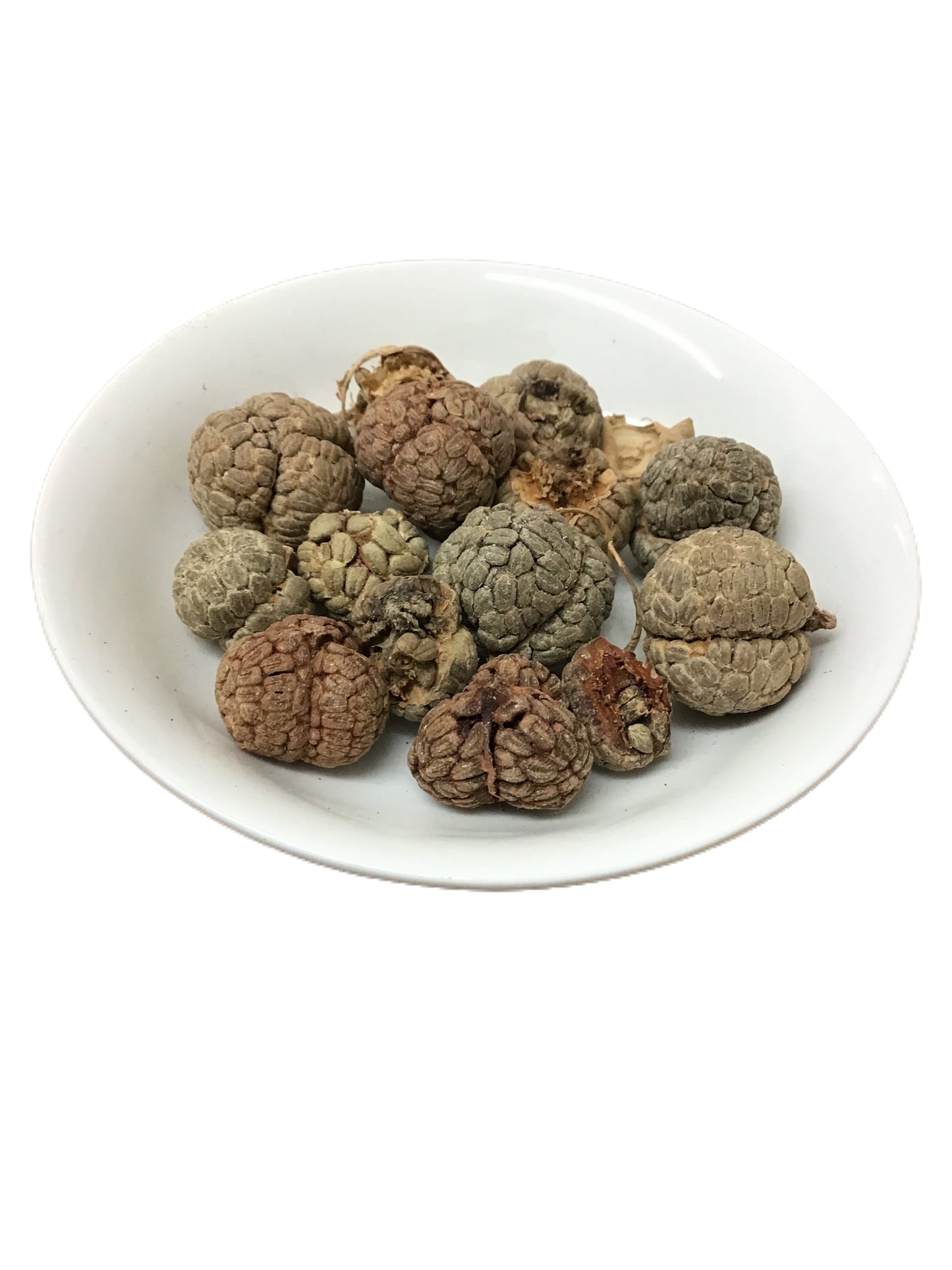 Katsumada's Galangal Seeds (Semen Alpiniae Katsumadai) - 草豆蔻 (Cao Dou Kou)