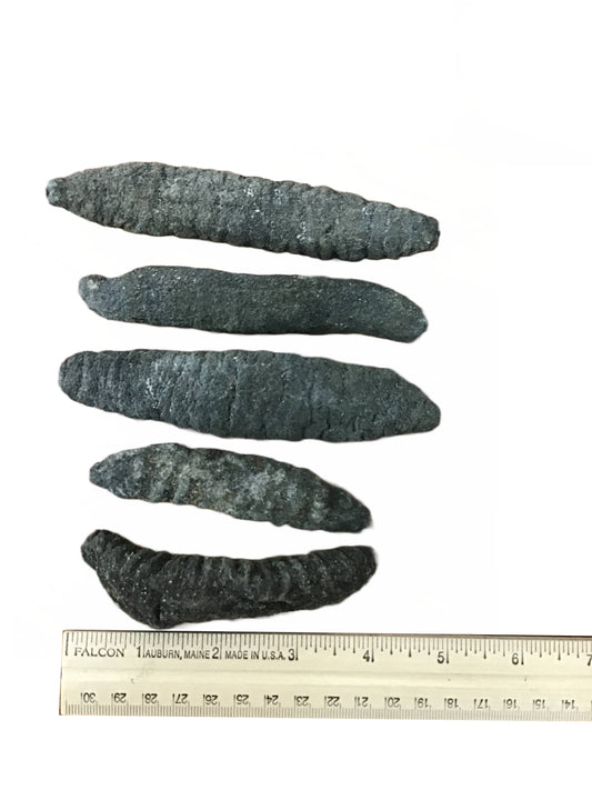 Mexican Dried Sea Cucumber 墨西哥沙参 1LB