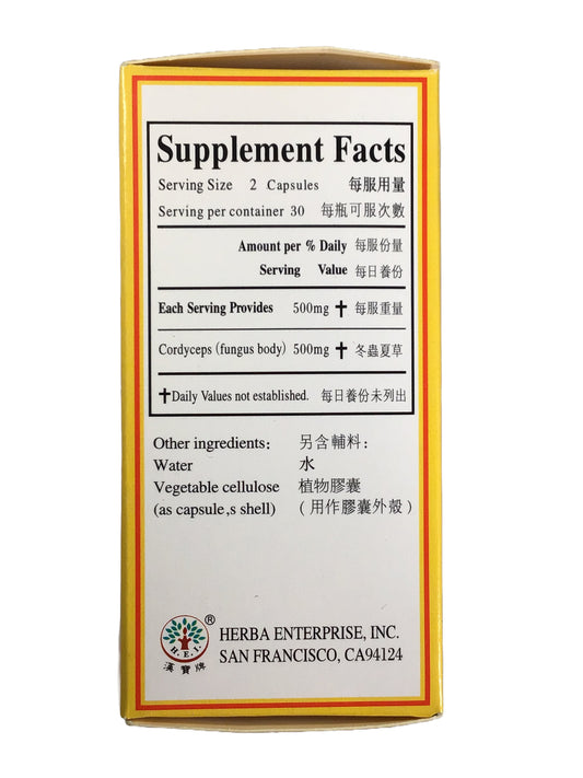 GOLDEN LILY Cordyceps Extract 金百合 冬虫夏草菌丝胶囊 60 Pills