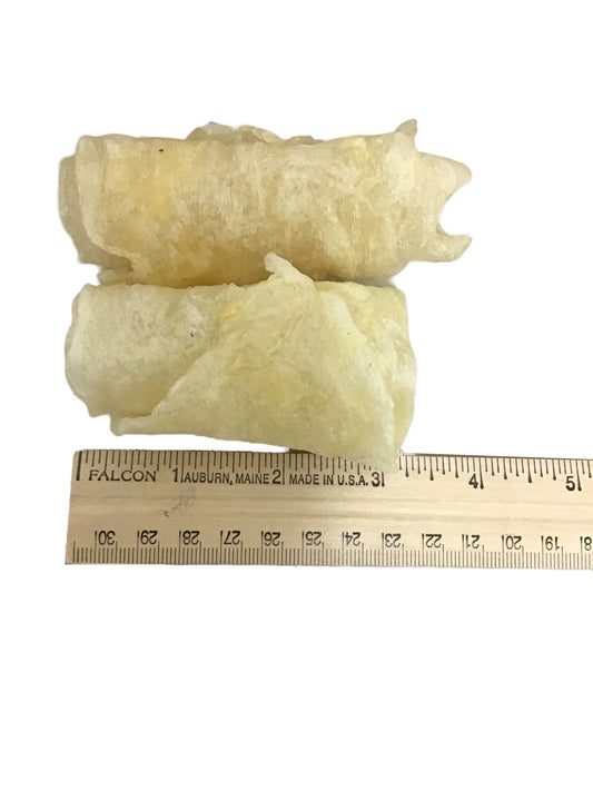 Dried Fish Maw 散装大花胶粒 1LB