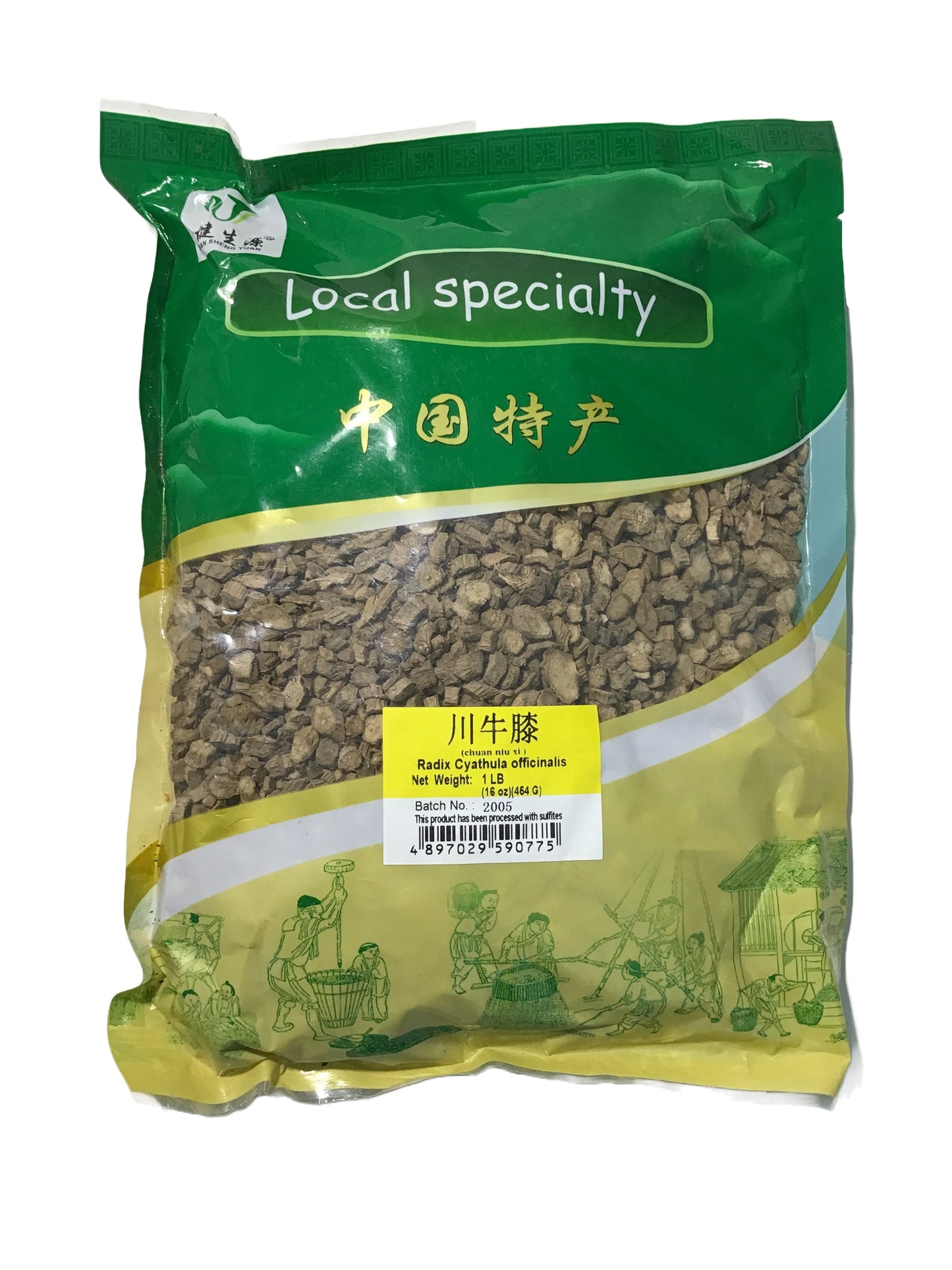 Cyathula Root (Radix Cyathua Offcinalis) - 川牛膝 (chuān niú xī)