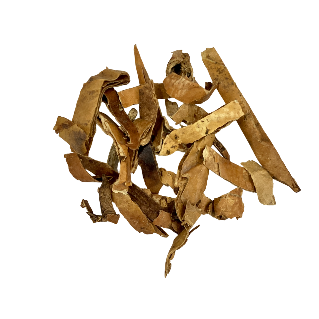 Trichosanthis Peel (Pericarpium Trichosanthis) - 瓜蒌皮 (guā lóu pí)