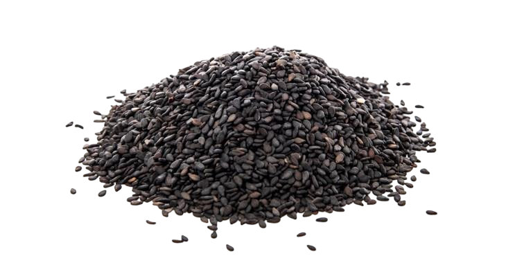 Black Sesame 黑芝麻