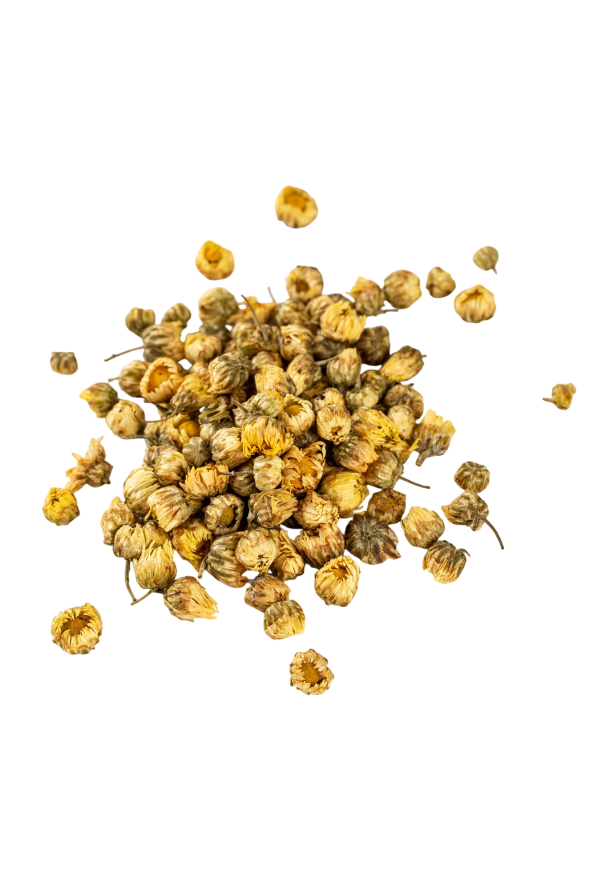 Chrysanthemum (Flos Chrysanthemum Morifolium) - 菊花 (jú huā)