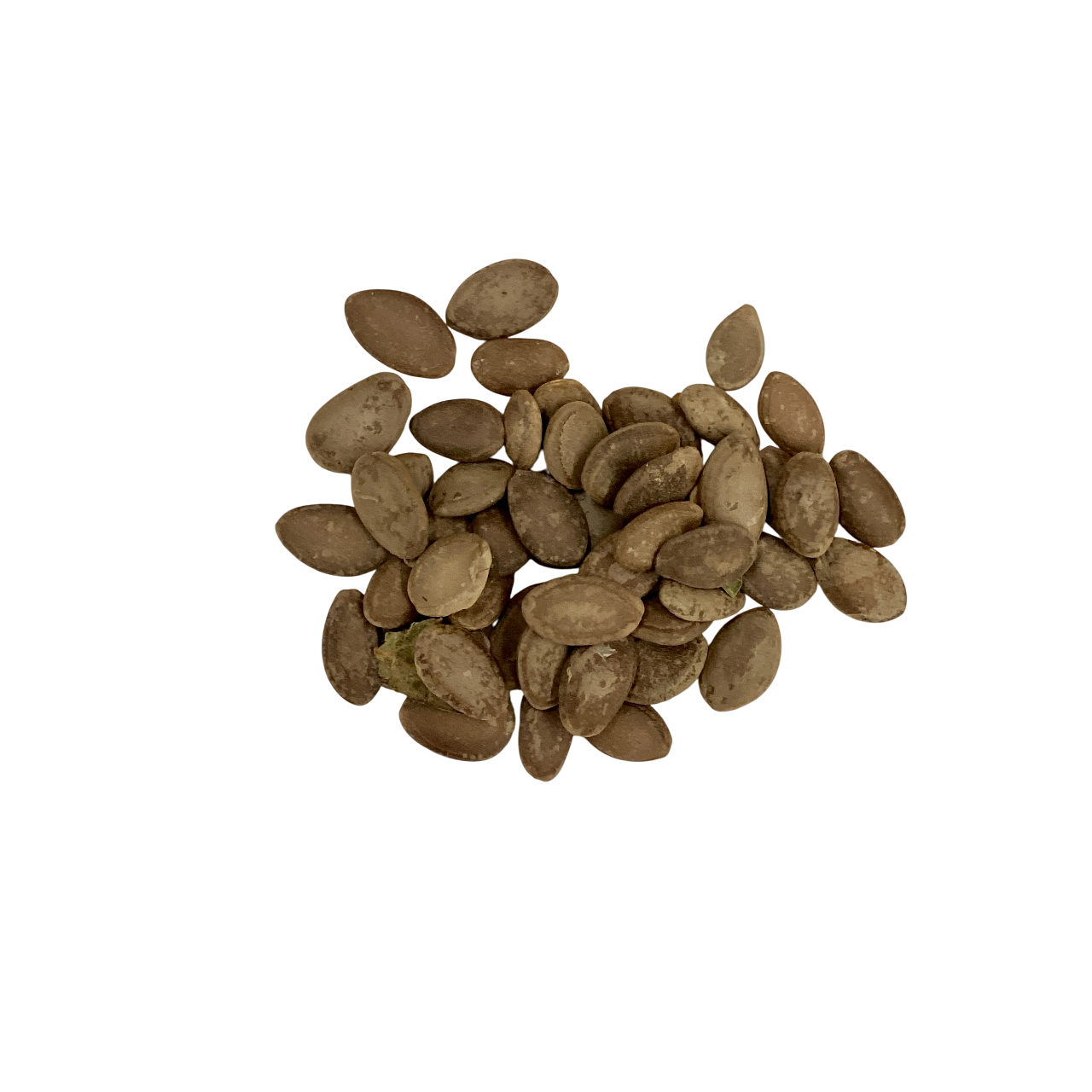 Trichosanthis Seed (Semen Trichosanthis) - 瓜蒌仁 (guā lóu rén)
