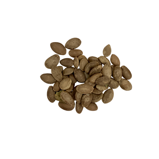 Trichosanthis Seed (Semen Trichosanthis) - 瓜蒌仁 (guā lóu rén)