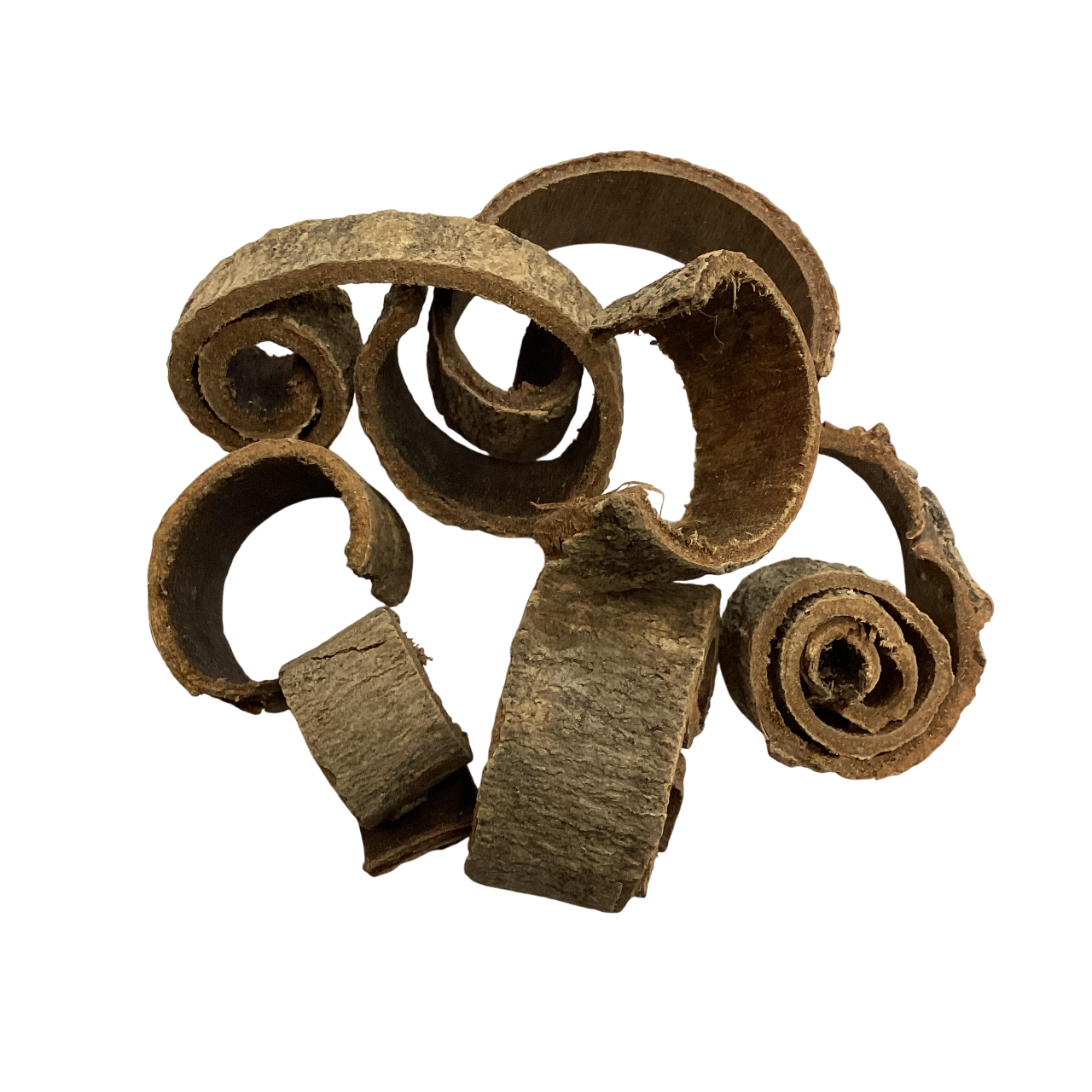 Chuan Po Si / Hou Po (Cortex Magnolia Officinalis) - 川朴丝/厚朴 (chuān pǔ sī)