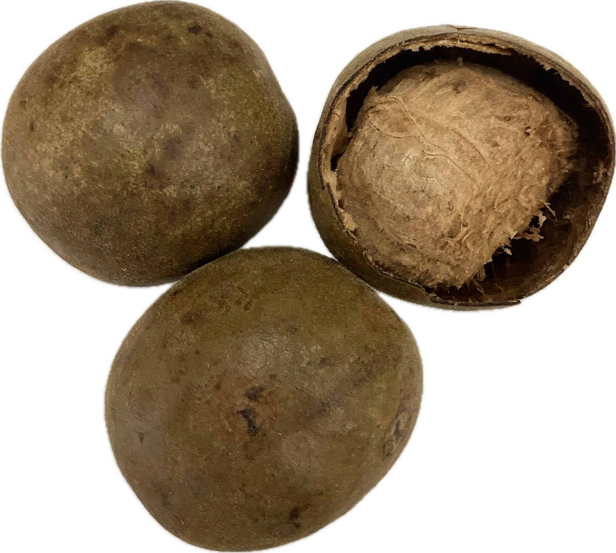 Grosvenor's Momordica Fruit (Fructus Momordicae) - 罗汉果 (luó hàn