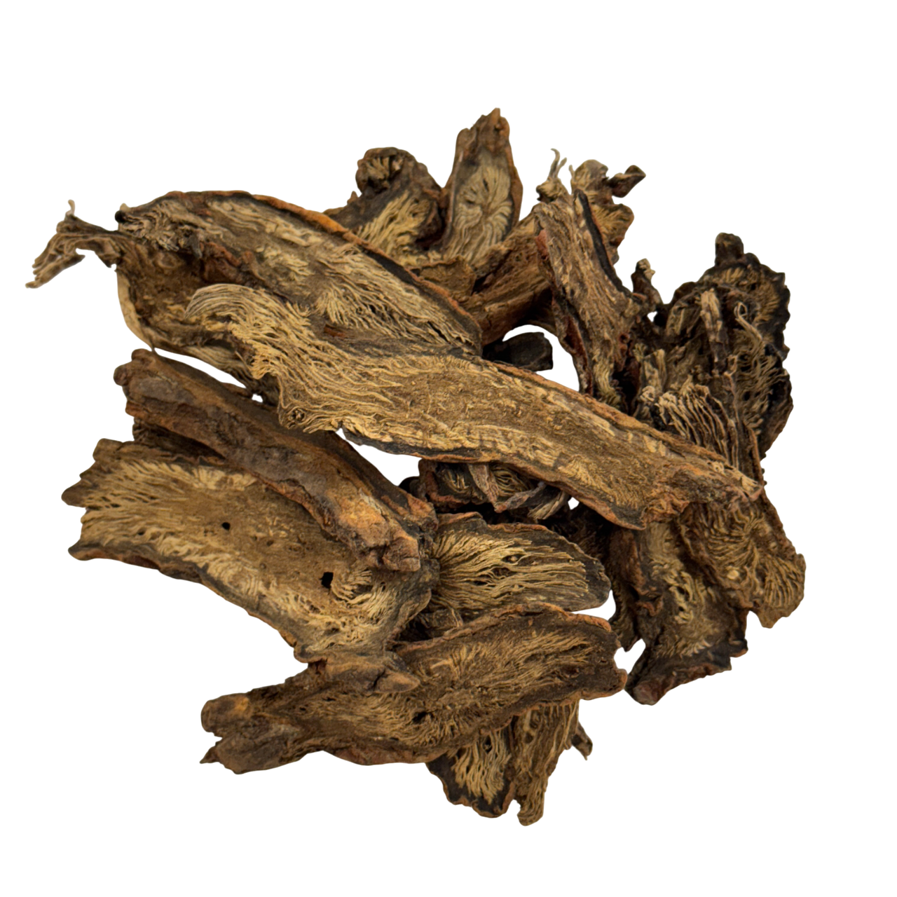 Chinese Salvia (Radix Salviae Miltiorrhizae) - 丹参 (dān shēn)