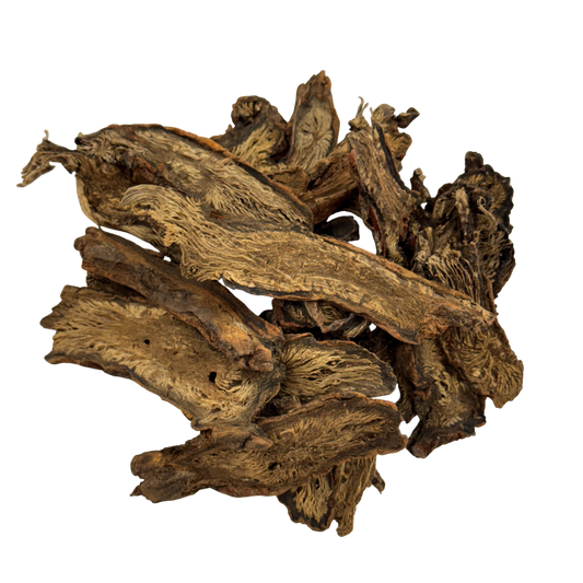 Chinese Salvia (Radix Salviae Miltiorrhizae) - 丹参 (dān shēn)