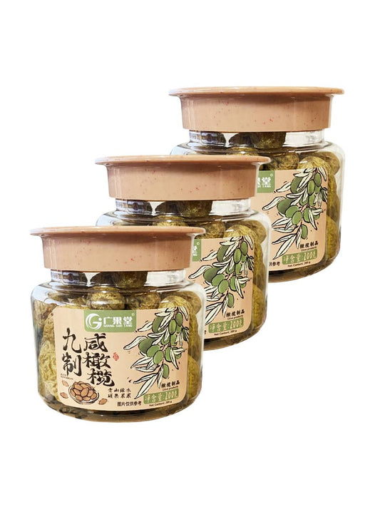 广果堂 九制话梅 Nine-times-made Preserved Plum 170g | GUANG GUO TANG