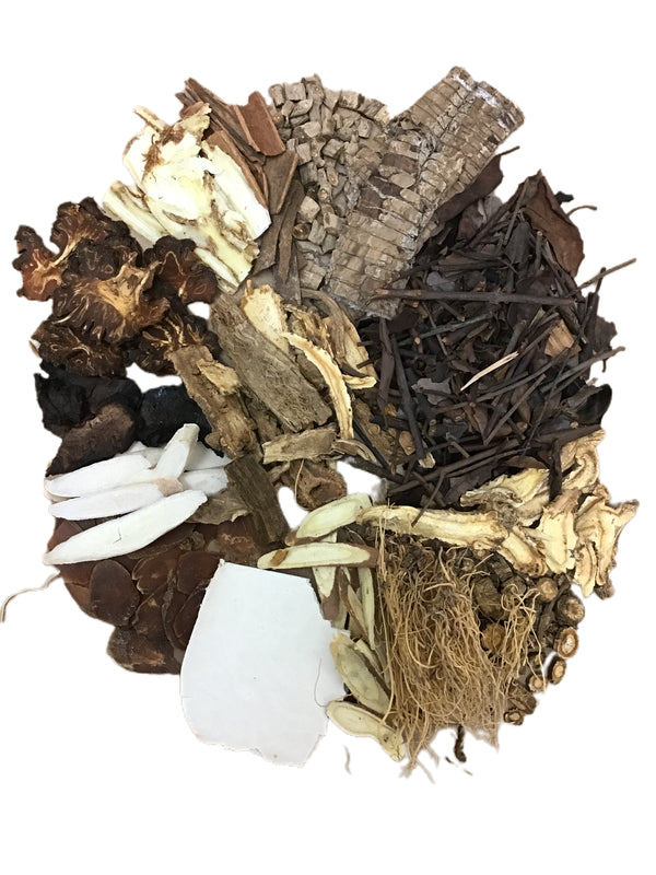 Angelica Pubescentis and Taxillus Decoction (Du Huo Ji Sheng Tang) - 独活寄生汤 (dú huó jì shēng tāng)