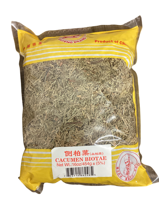 Oriental Arborvitae Leafy Twig (Cacumen Biotae) - 侧柏叶 (Ce bai ye)