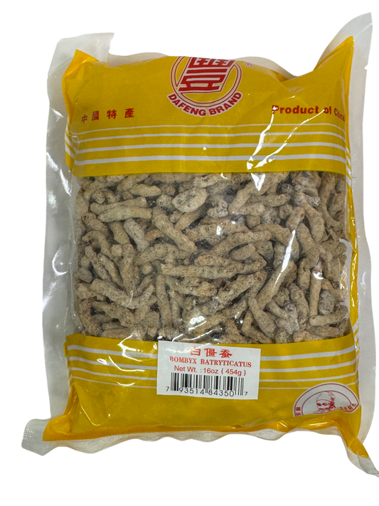 Bombyx Mori (Bombyx Batryticatus) - 僵虫/僵蚕 (Jiang Cong / Jiang Can)