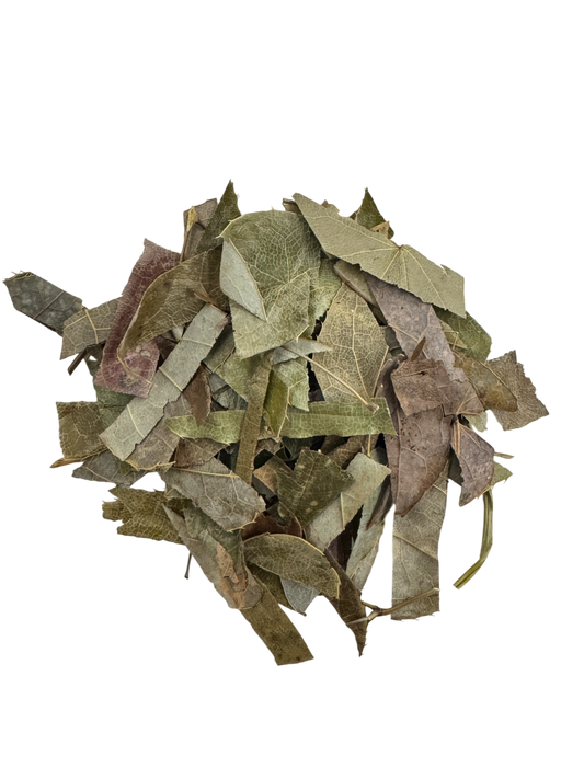 Epimedium Herb, Horny Goat Weed (Herba Epimedii) - 淫羊霍 (Yin Yang Huo)