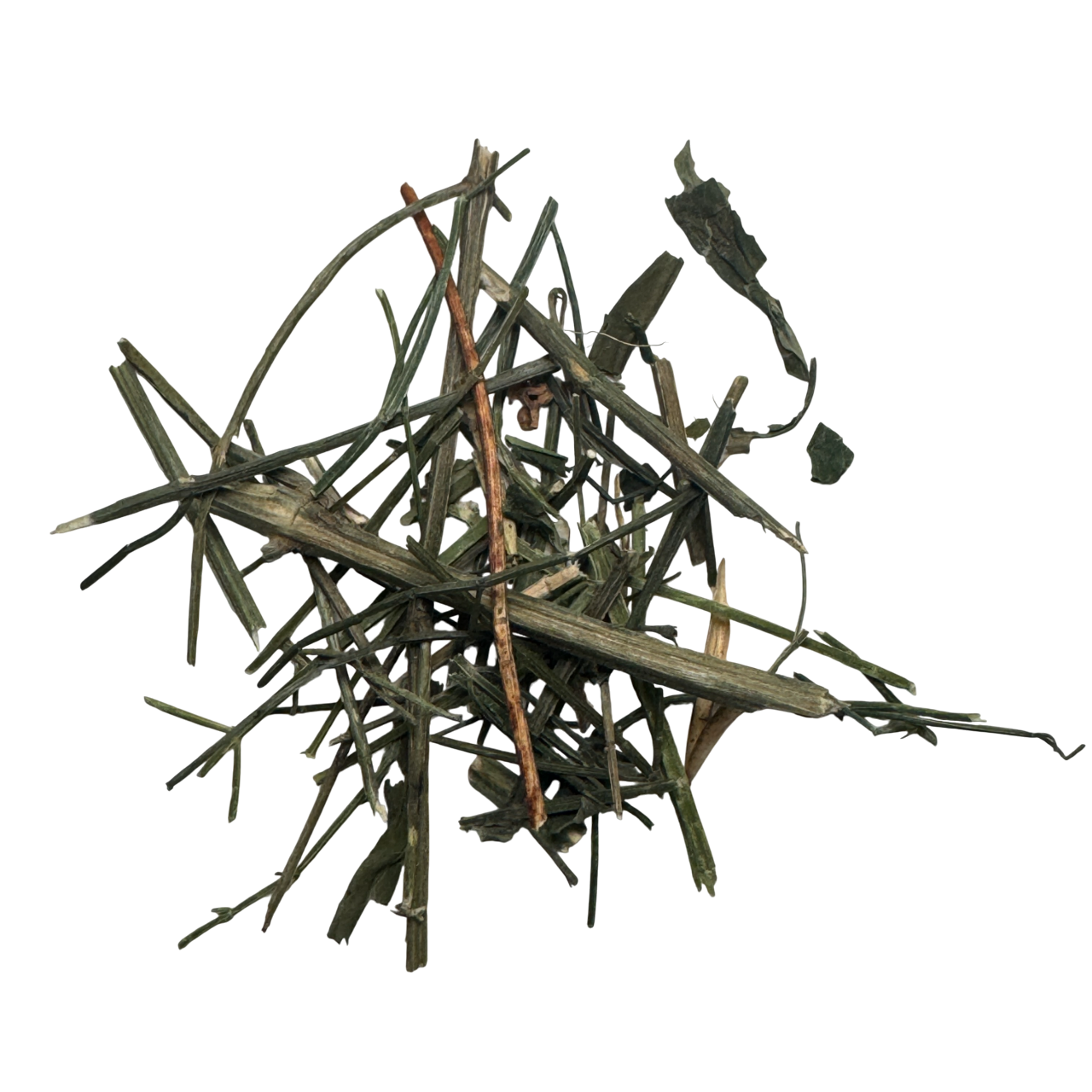 Andrographis (Herba Andrographis) - 穿心莲 (chuān xīn lián)