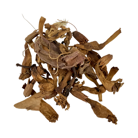 Campsis Flower (Flos Campsis) - 凌霄花 (líng xiāo huā)